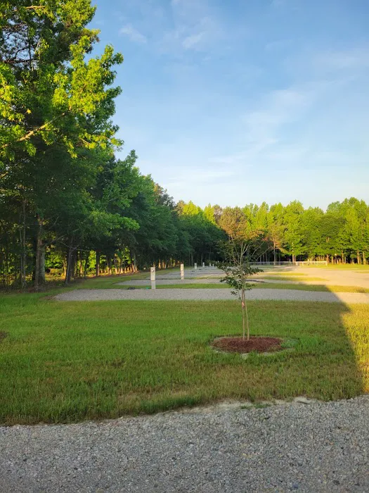 Herds Creek Campground 1