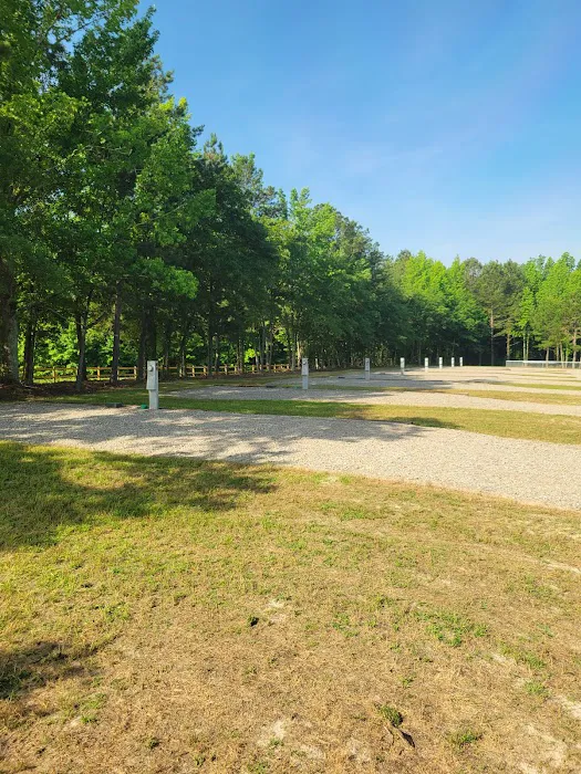 Herds Creek Campground 3