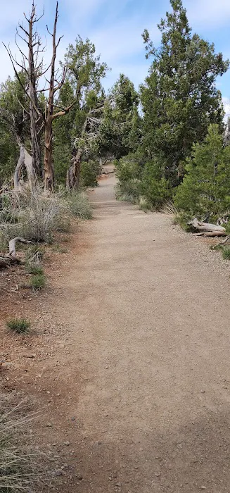 Taos Loop, Morefield Campground 7