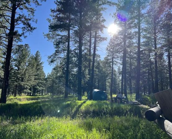 Pioneer Campground