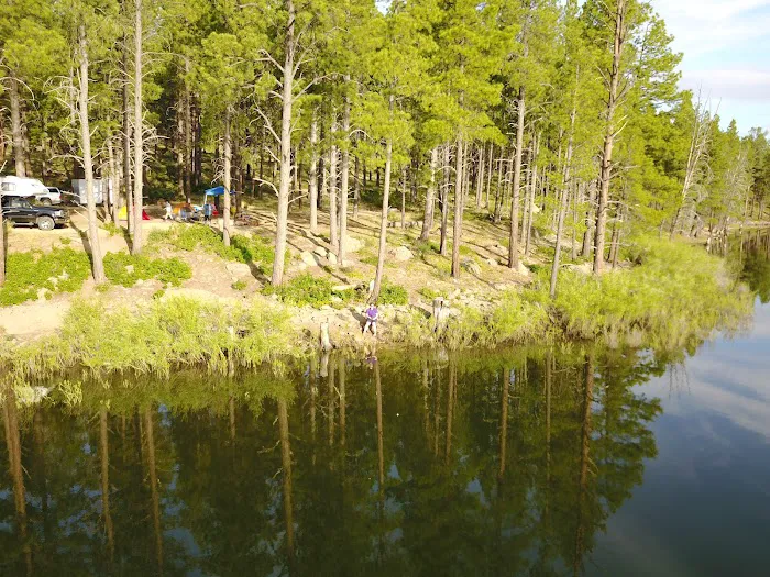 Pioneer Campground 3