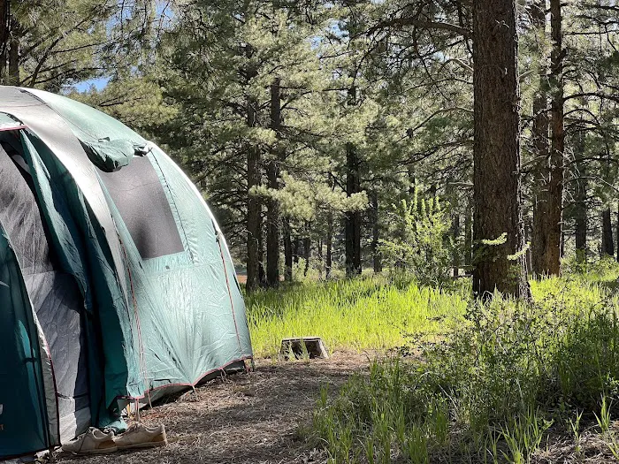 Pioneer Campground 8