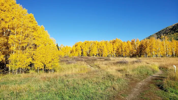 Warner Campground 3