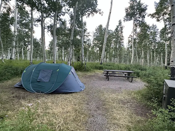Warner Campground 8