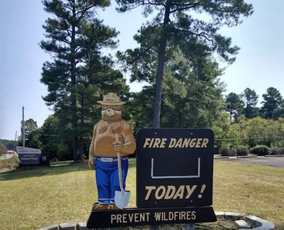 US Forestry Department