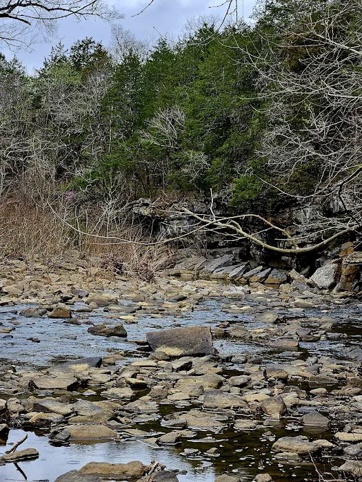 Devils Den Campground E 9