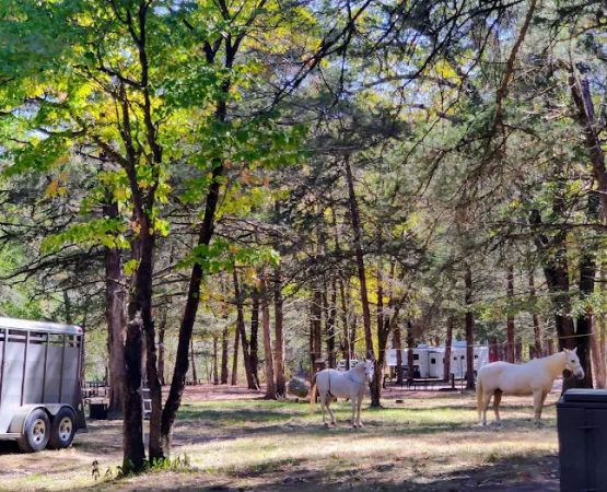 Devil’s Den Horse Camp