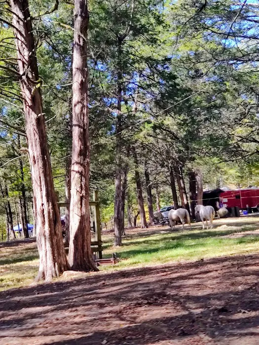 Devil’s Den Horse Camp 3