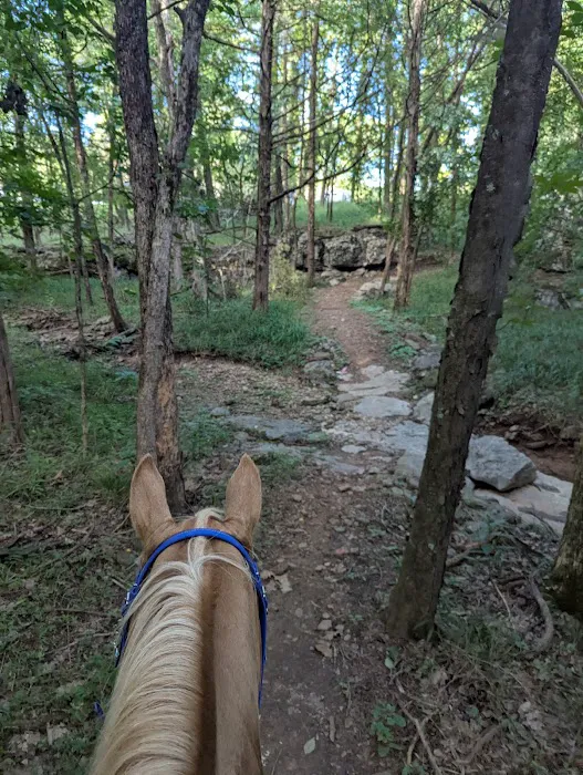 Devil’s Den Horse Camp 4