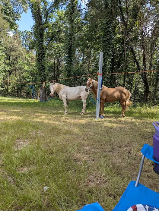 Devil’s Den Horse Camp 7
