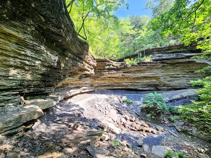 Devil’s Racetrack Trailhead and Campground 3