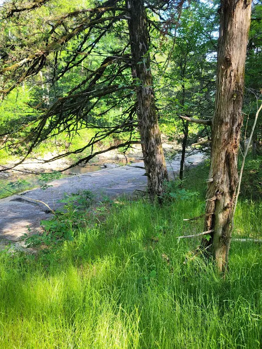 Devil’s Racetrack Trailhead and Campground 5