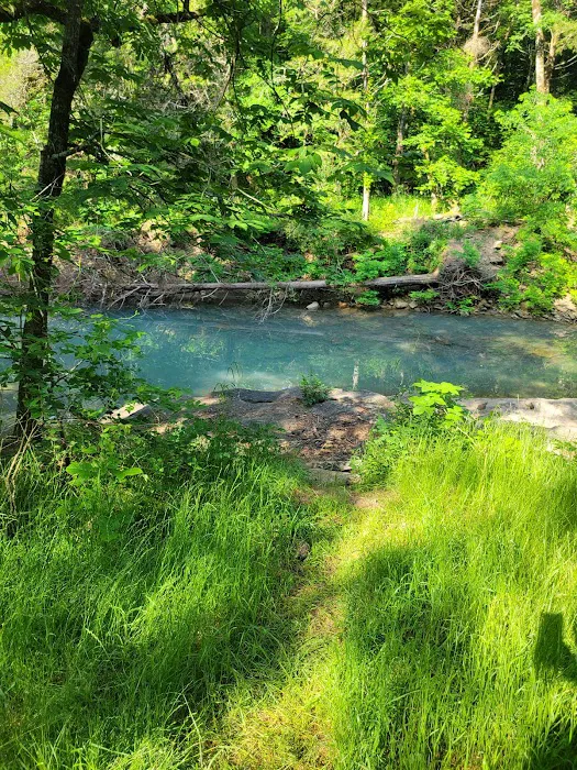 Devil’s Racetrack Trailhead and Campground 6