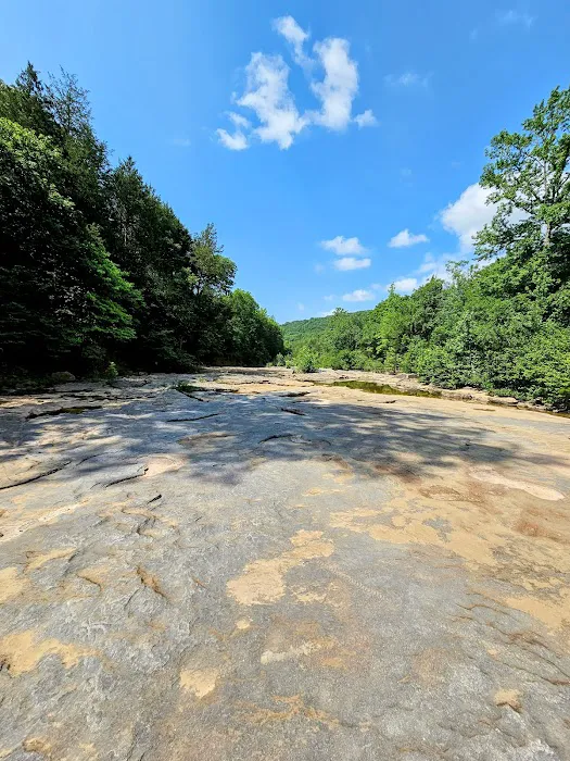 Devil’s Racetrack Trailhead and Campground 7