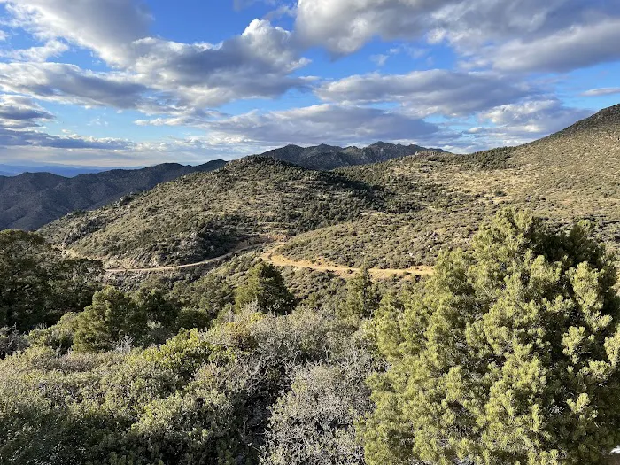 Packsaddle Campground 2