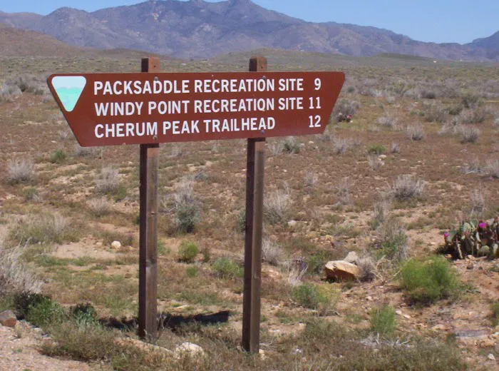 Packsaddle Campground 6