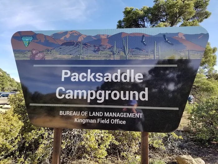 Packsaddle Campground 7