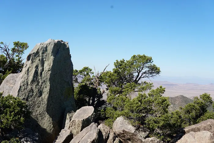Packsaddle Campground 9