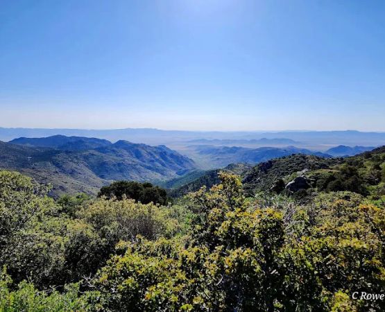 Windy Point Campground
