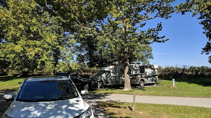 Goldenrod Campground 3
