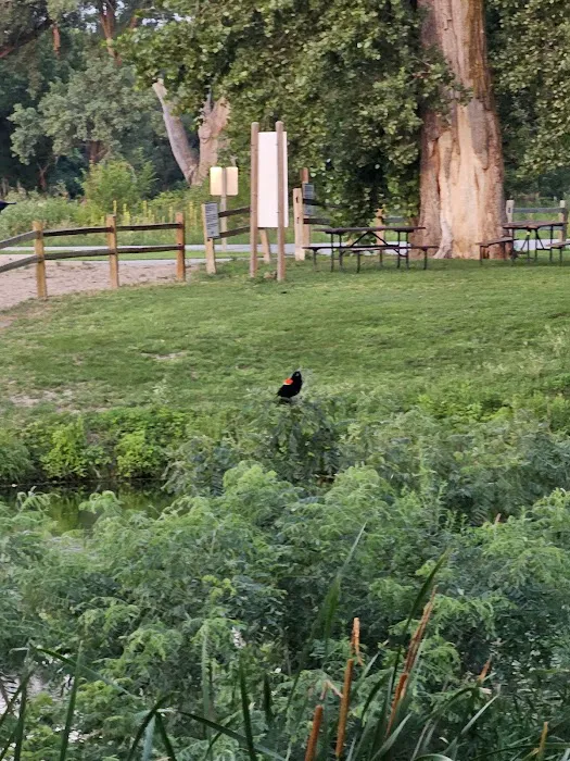 Goldenrod Campground 7