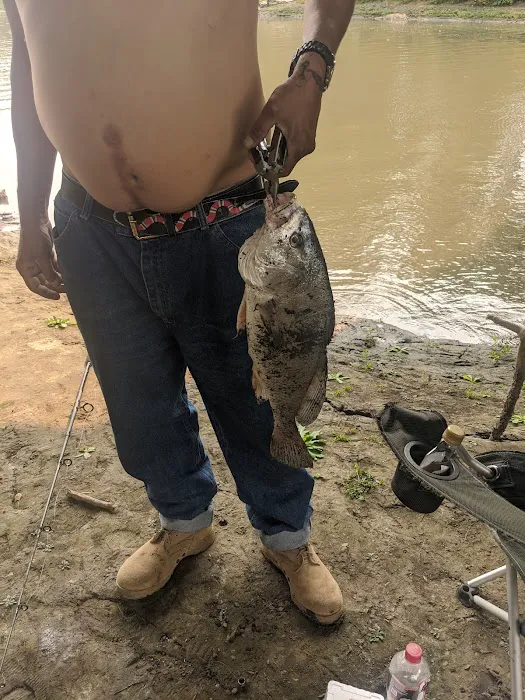 Catfish Run WMA, Kayak Landing 9