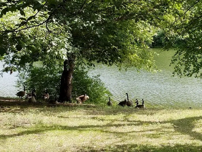 Lakeside Campground 7