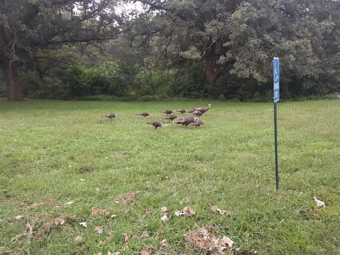 Little Creek Campground 4
