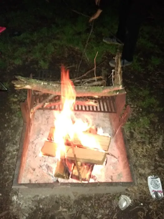 Little Creek Campground 9
