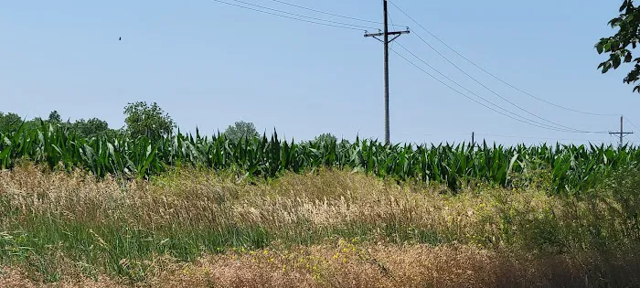 Omaha Campsite 4