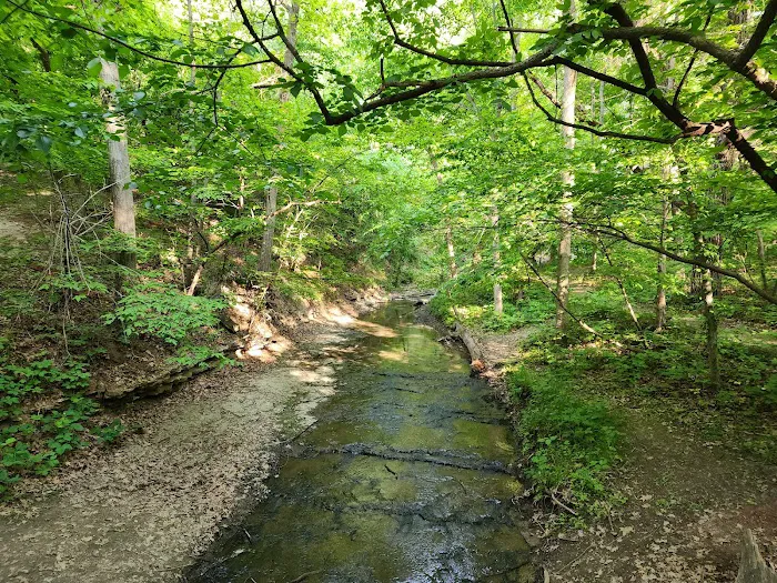 Bison Lane RV Campground 6