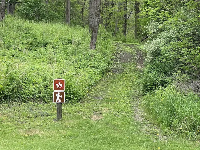 Martin Access Campground #3 3