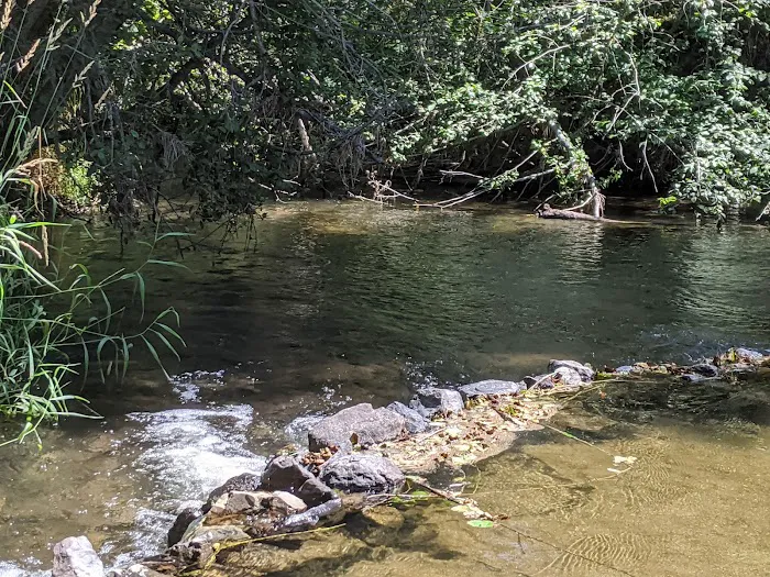 Dragoon Creek 2