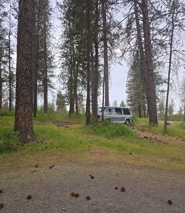 Dragoon Creek 1