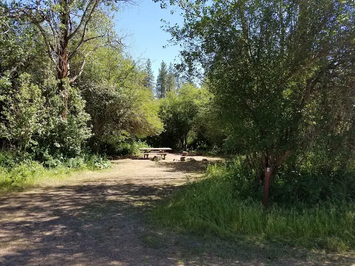 Dragoon Creek 5