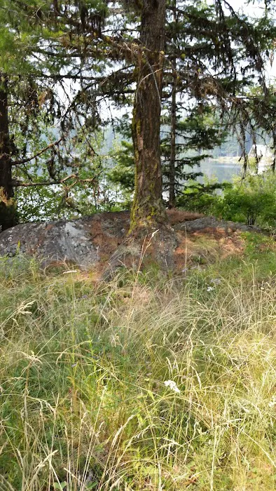 Crawfish Lake Campground 5