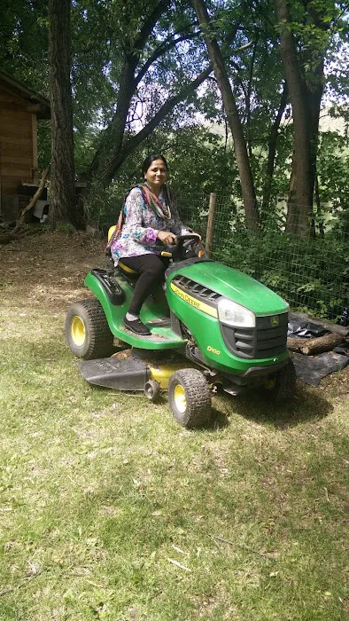 US Forestry Department 7