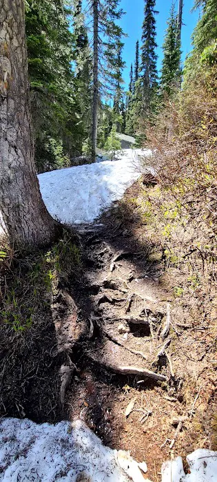 Two Mouth Lakes 1