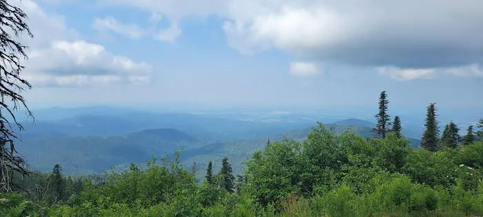 Bald Knob Campground 1