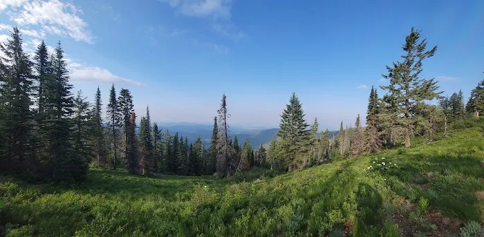 Bald Knob Campground 0