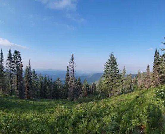 Bald Knob Campground