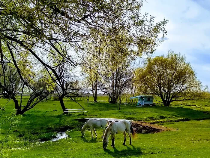 Willow Creek Retreat 4