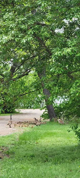 Fremont State Recreation Area 8