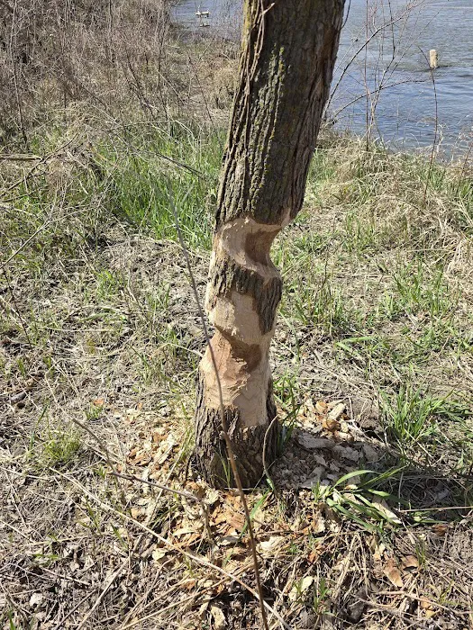 Dead Timber State Recreation Area 5