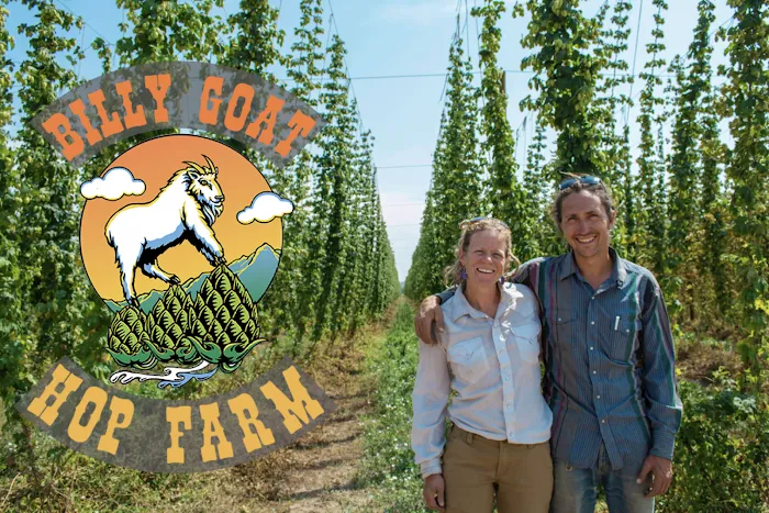 Down at the Hop Yard Camping 0