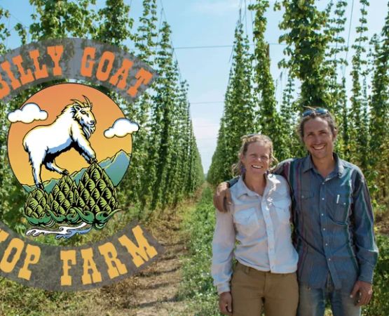 Down at the Hop Yard Camping