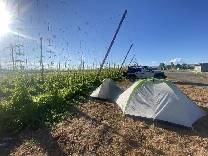Down at the Hop Yard Camping 1
