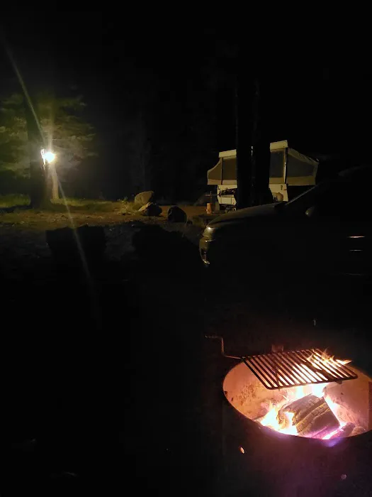 Tree Phones Campground 6