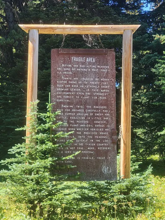 Clover Flats Campground 2