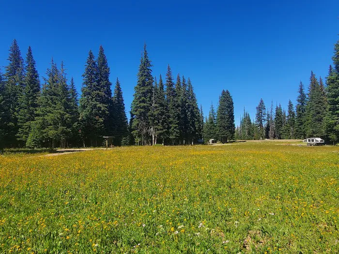 Clover Flats Campground 3